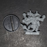 Dark Elves, Hakflem Skuttlespike, 2nd Ed. Bloodbowl, Metal, Citadel