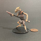 39/60, LE 13, Skeletal Equiceph D&D