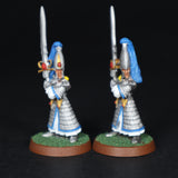 High Elves, Painted Swordmasters x8, Warhammer Fantasy